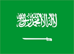 [ai] The national flag of Saudi Arabia featuring a green background with white Arabic text that reads the Shahada and a white sword below it.